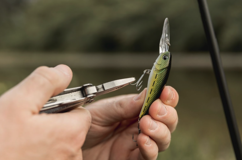 Fly Fishing Tips for Beginners: How to Choose the Right Gear and Master Your First Casts